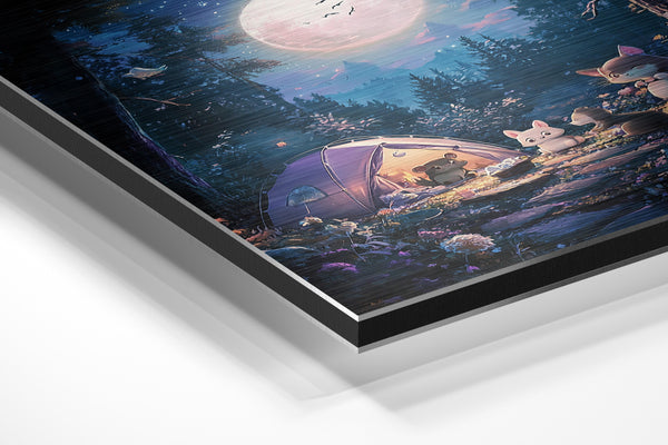 Woodland Camping Night