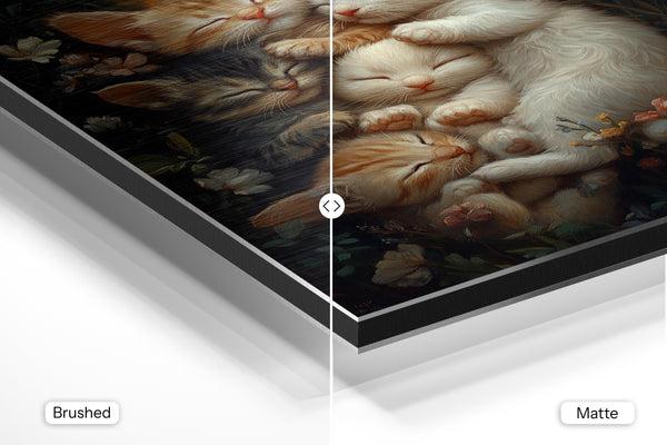 Kitten Moonlight Dream