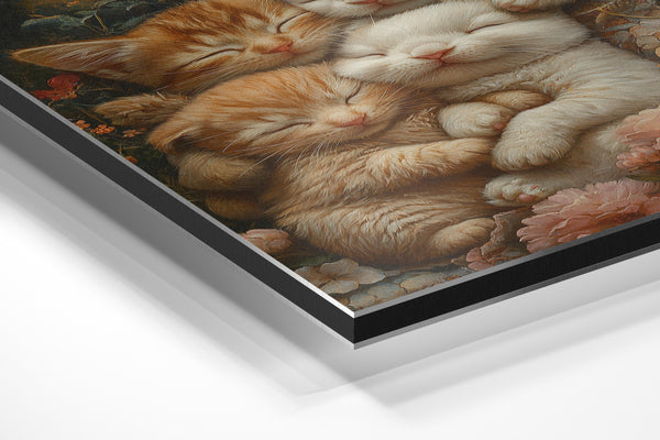 Kitten and Bunny Snuggle