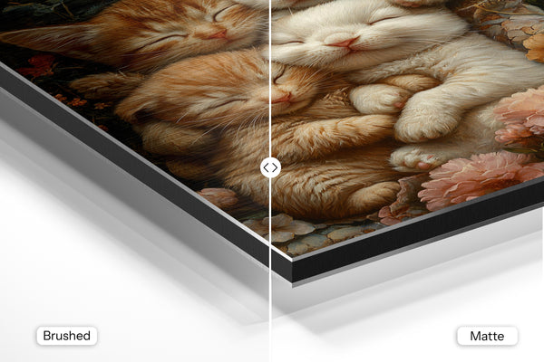 Kitten and Bunny Snuggle