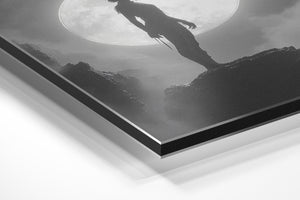 Silhouette Moonlight