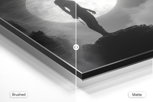 Silhouette Moonlight