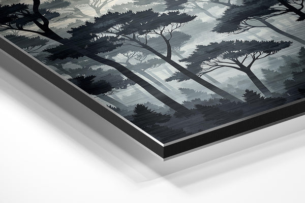 Misty Pine Forest