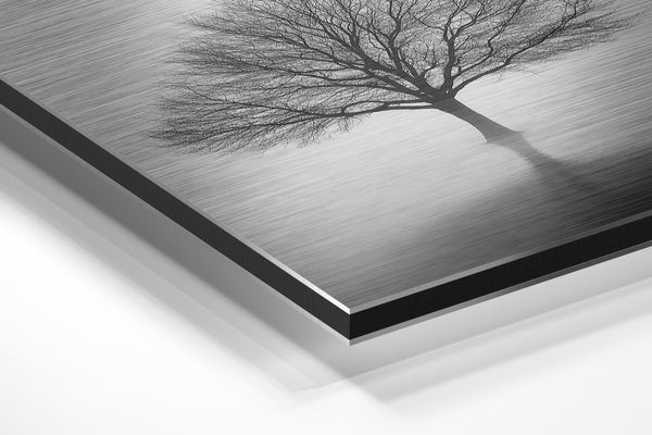 Solitary Tree in Mist