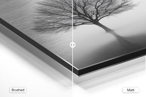 Solitary Tree in Mist