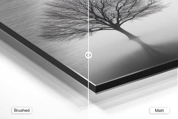 Solitary Tree in Mist