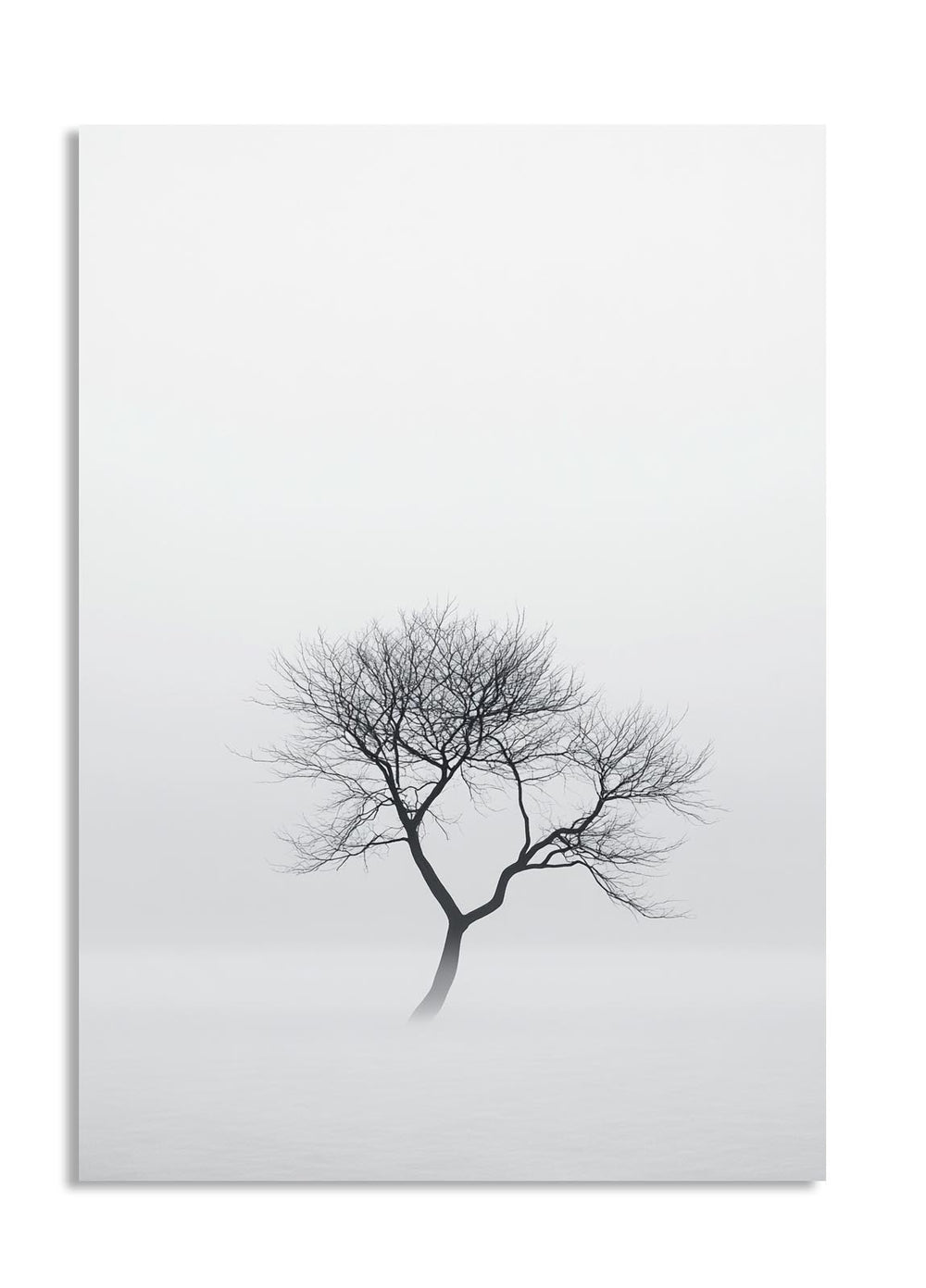 Black silhouette of a tree on a white background, as a premium aluminum metal print from GoMetalPrint.
