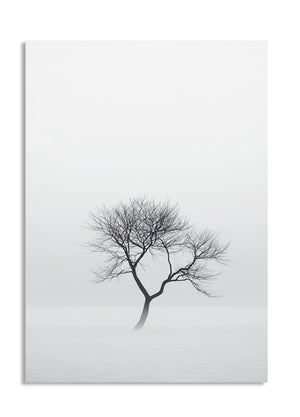 Black silhouette of a tree on a white background, as a premium aluminum metal print from GoMetalPrint.
