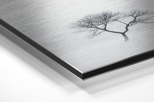 Twisted Tree in Mist