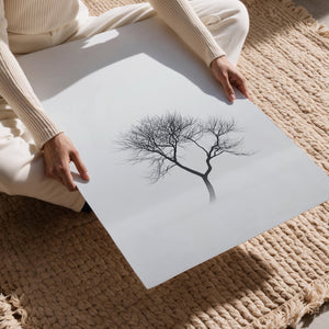 Twisted Tree in Mist