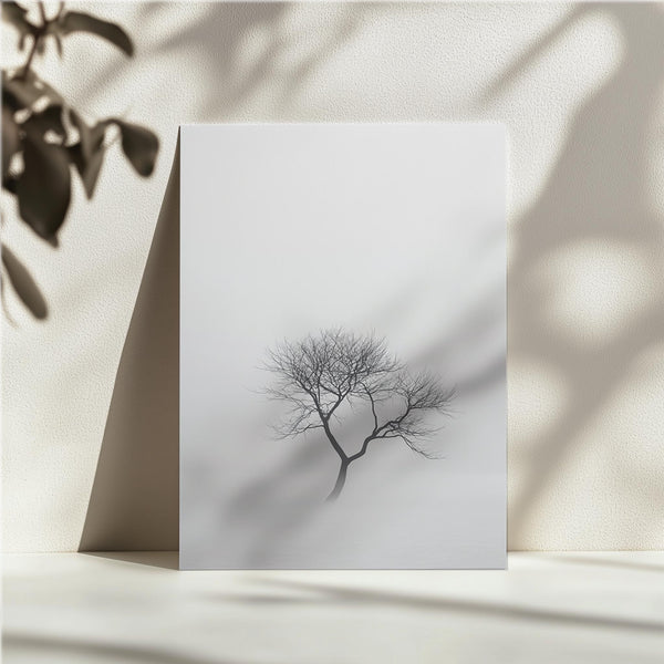 Twisted Tree in Mist