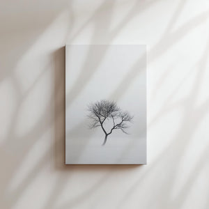 Twisted Tree in Mist