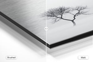 Twisted Tree in Mist