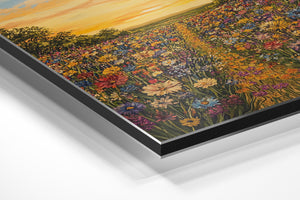Sunset Wildflower Meadow