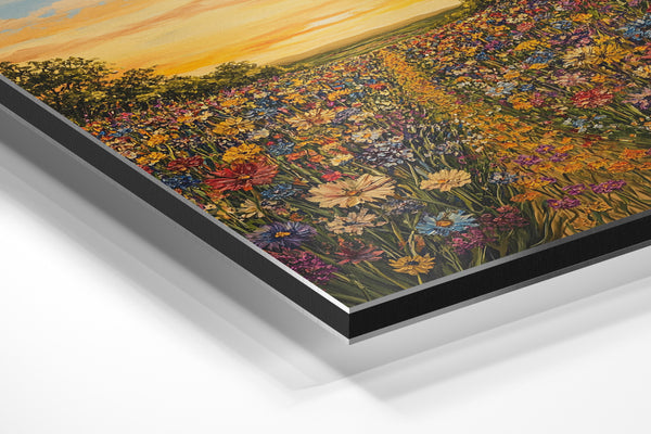 Sunset Wildflower Meadow