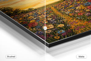 Sunset Wildflower Meadow