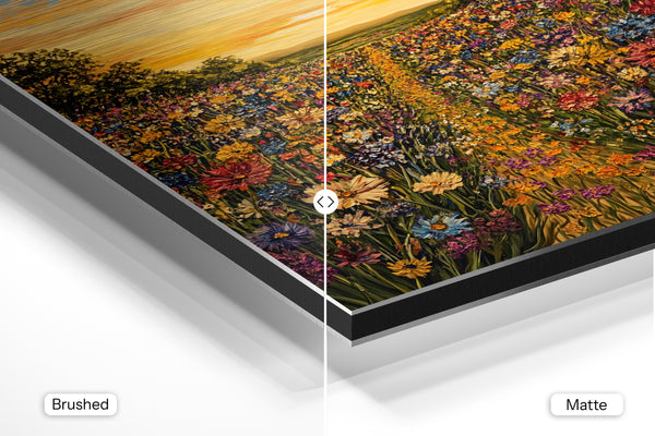 Sunset Wildflower Meadow