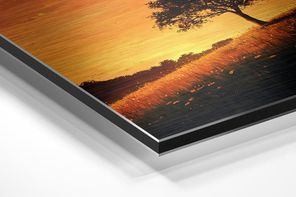 Lone Tree Golden Sunset