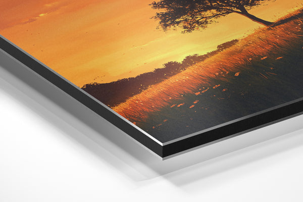 Lone Tree Golden Sunset