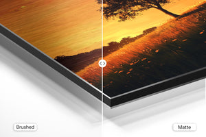 Lone Tree Golden Sunset