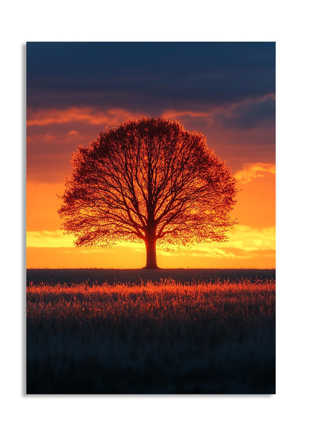 Tree silhouette against a vibrant sunset sky with orange and purple hues, as a premium aluminum metal print from GoMetalPrint.
