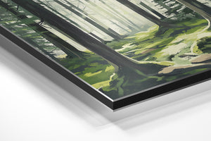 Misty Forest Pathway