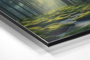 Tranquil Forest Stream