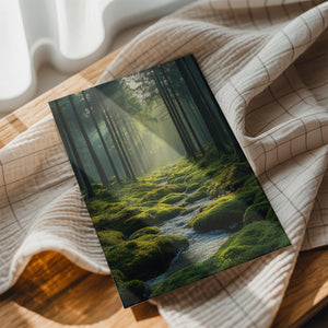 Tranquil Forest Stream