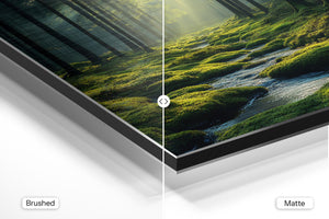 Tranquil Forest Stream