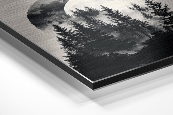 Moonlit Forest Shadows