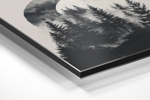 Moonlit Forest Shadows