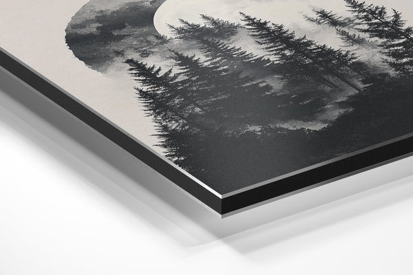 Moonlit Forest Shadows