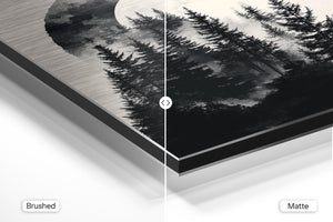 Moonlit Forest Shadows