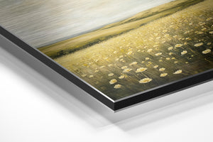 Meadow of Wildflowers