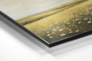 Meadow of Wildflowers