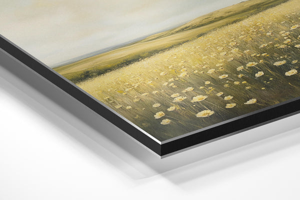 Meadow of Wildflowers