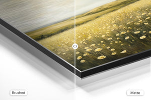 Meadow of Wildflowers