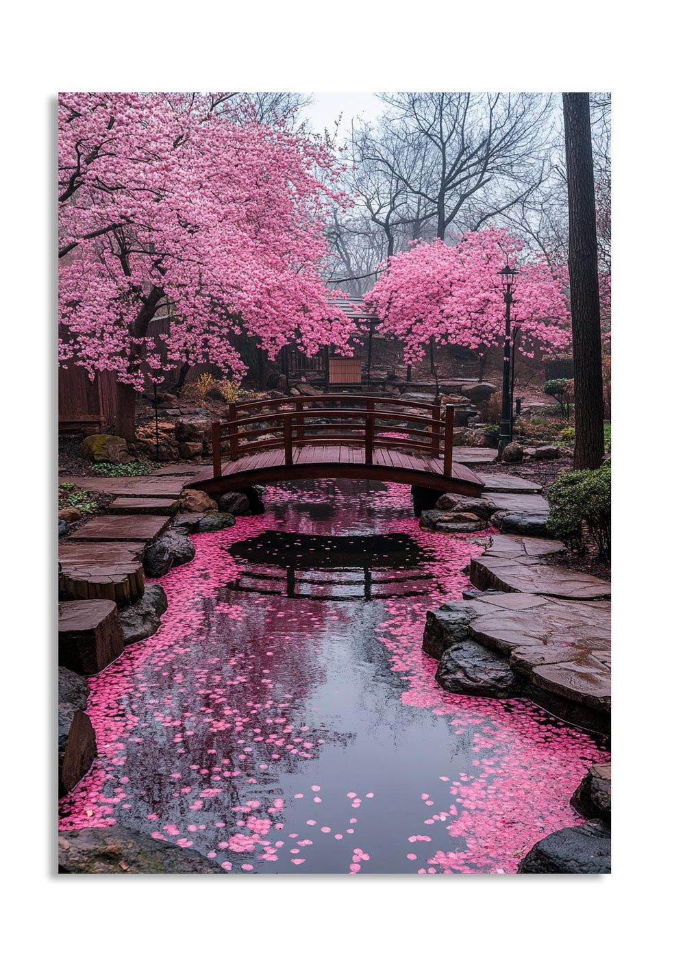 Pink cherry blossom trees over a bridge and pond, as a premium aluminum metal print from GoMetalPrint.

