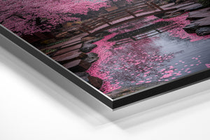 Cherry Blossom Bridge