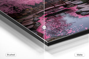 Cherry Blossom Bridge