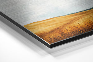 Wheat Field Painting