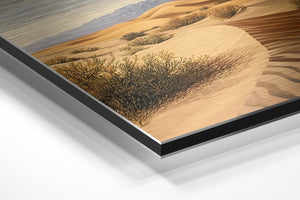 Desert Bushes Panorama