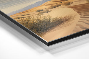 Desert Bushes Panorama