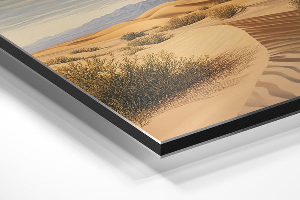 Desert Bushes Panorama