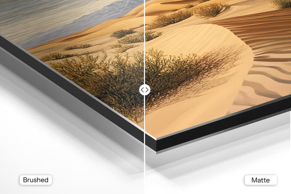 Desert Bushes Panorama