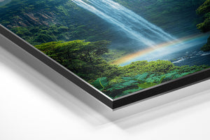 Misty Waterfall Forest