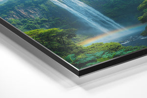 Misty Waterfall Forest