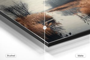 Misty Reedland Creek