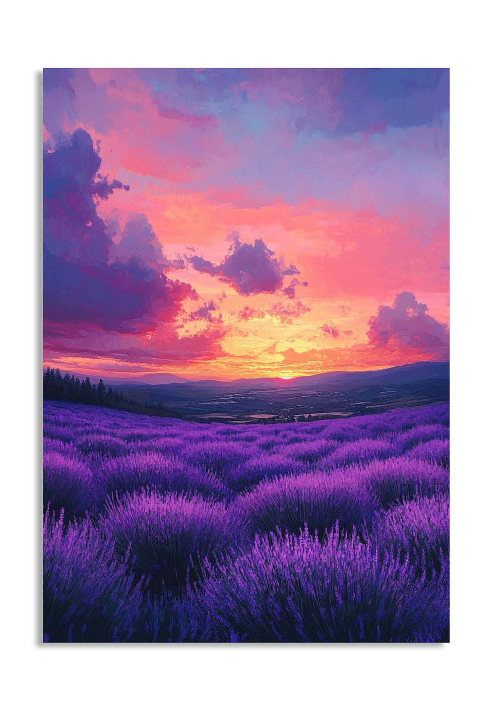 Lavender field with a vibrant sunset sky, as a premium aluminum metal print from GoMetalPrint.
