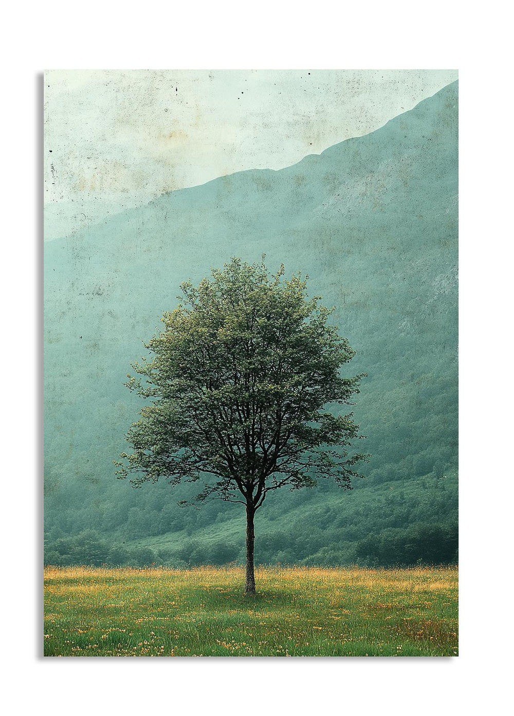 Single tree in a field with misty mountains in the background, as a premium aluminum metal print from GoMetalPrint.
